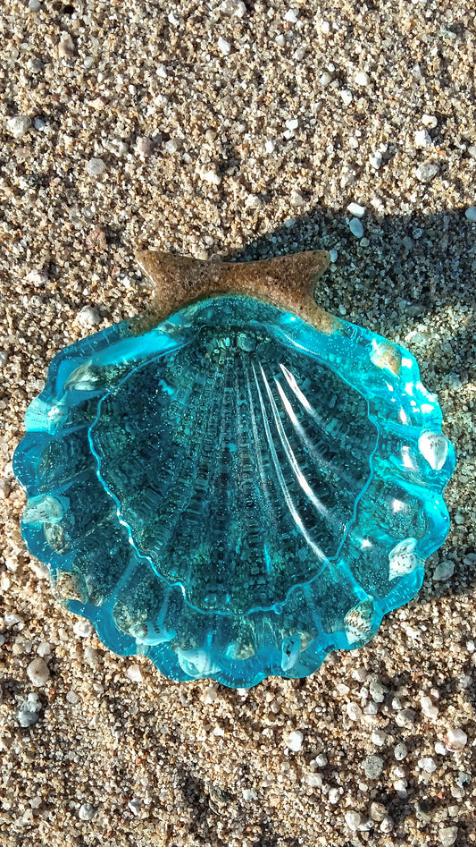 Concha Joyero Océano – Para los amantes del mar