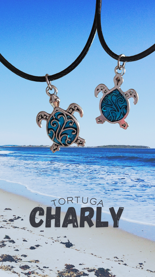 Colla Tortuga Charly