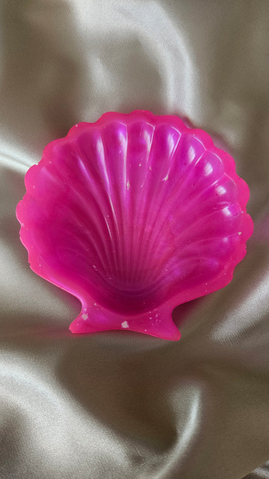 Concha Joyero Brillante – Sencillez y Elegancia Natural