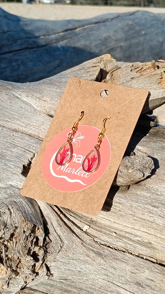 Pendientes Coral Rojo