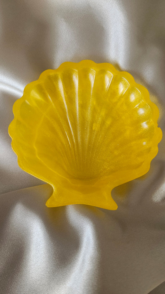 Concha Joyero Brillante – Sencillez y Elegancia Natural